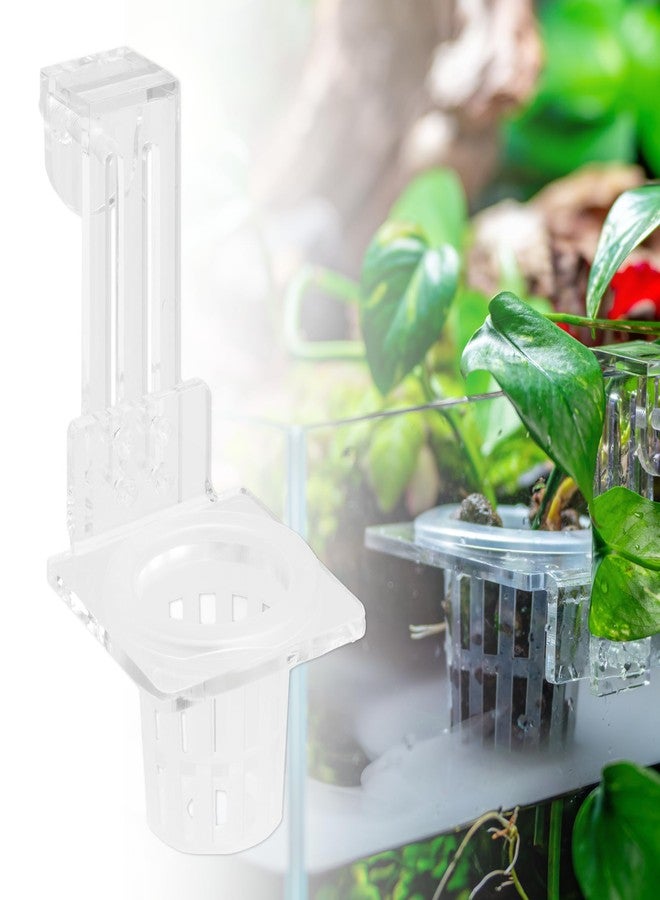 SubstrateSource Upgraded Acrylic Adjustable Clear Aquarium Plant Holder, Premium Aquarium Planter, Sturdy Aquarium Pothos Holder for Optimal Plant Growth (Small) - Image 1